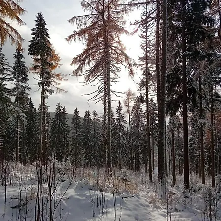 Rodinny Na Sumave Lägenhet Prachatice