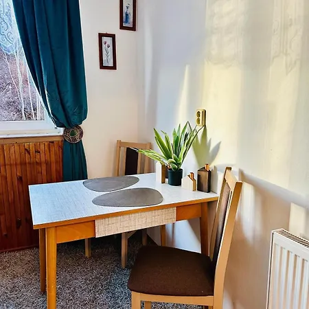 Sumava Apartment 90Minut Od Prahy *